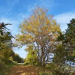 Moselherz Lejlighed